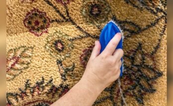 How To Remove Stains From Carpet Without Carpet Cleaner
