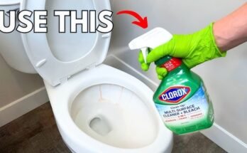 How To Use Bleach For Cleaning Bathroom