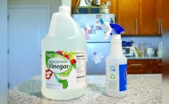 How To Use Distilled White Vinegar For Cleaning