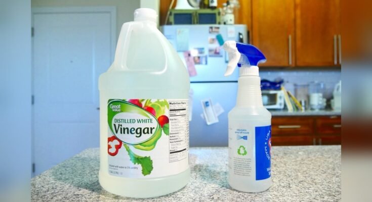 How To Use Distilled White Vinegar For Cleaning