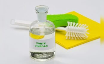 How To Use Vinegar For Cleaning Kitchen