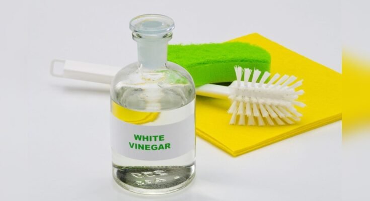 How To Use Vinegar For Cleaning Kitchen
