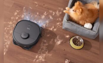 Hybrid Vacuum for Small Apartments