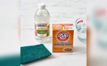 Use White Vinegar And Baking Soda For Cleaning