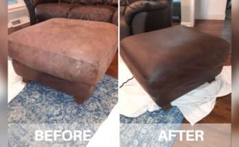 What Is A Good Leather Cleaner For Furniture