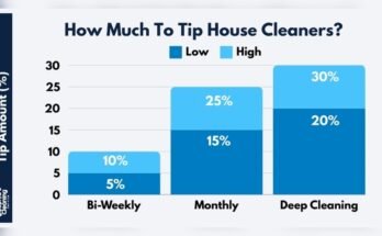 What Is The Appropriate Tip For A House Cleaner