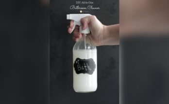What Is The Best Homemade Bathroom Cleaning Solution