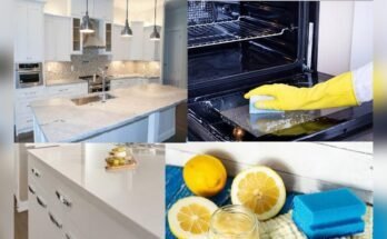 Whats The Effect Of Oven Cleaner On Kitchen Counters