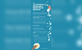 Why Cleaning The Kitchen Is Important