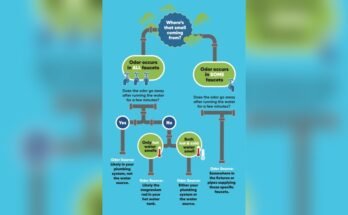 Why Does My Bathroom Sink Smell When I Run Water