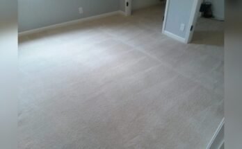 Why Is My Carpet Crunchy After Cleaning