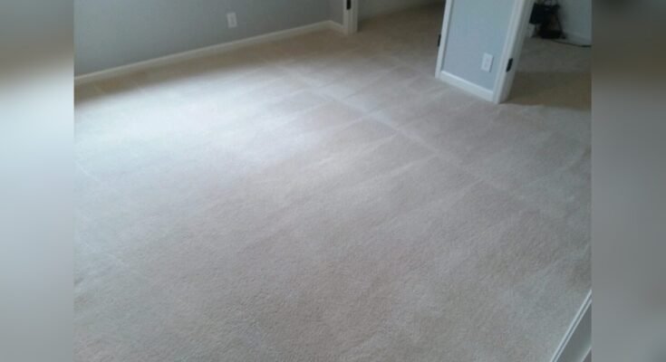 Why Is My Carpet Crunchy After Cleaning