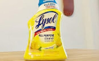 Why Lysol Isnt The Best Cleaner For Your Bathroom