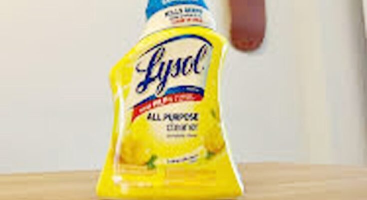 Why Lysol Isnt The Best Cleaner For Your Bathroom