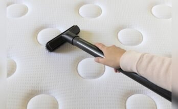 Can a Vacuum Cleaner Remove Dust Mites from Mattresses?