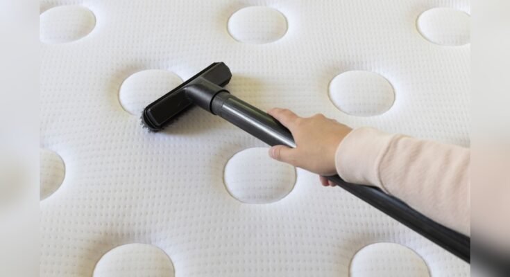 Can a Vacuum Cleaner Remove Dust Mites from Mattresses?