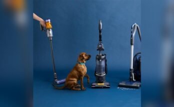 What Vacuum Cleaner is Best for Pet Owners With Shedding Dogs?