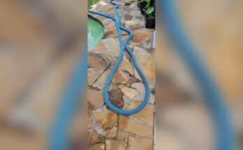 Why Does My Pool Vacuum Hose Collapse While Cleaning?
