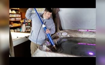 Why is My Hot Tub Vacuum Not Picking Up Tiny Debris?