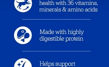 Best Choice Dog Food