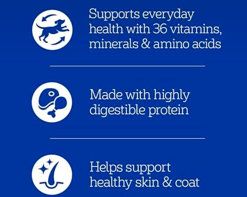 Best Choice Dog Food