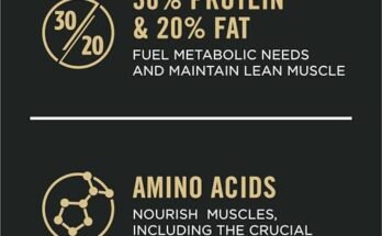 Best Performance Dog Food