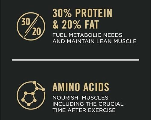 Best Performance Dog Food