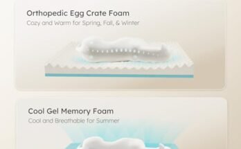 Best Cooling Dog Beds For Large Dogs