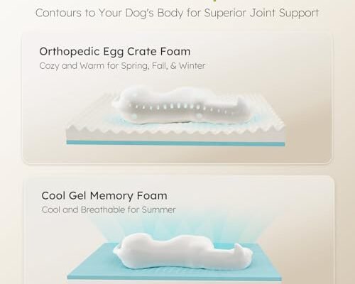Best Cooling Dog Beds For Large Dogs