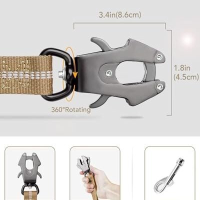 Best Leash For Reactive Dog