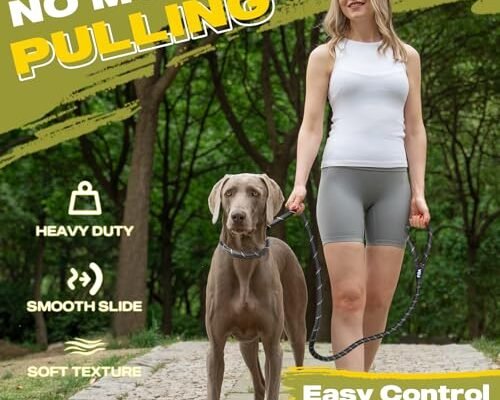 Best Dog Lead For Labrador