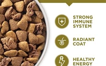 Best Lamb Rice Dog Food