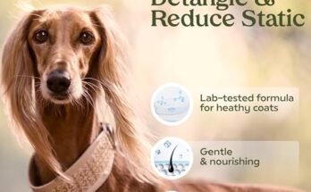 Best Smelling Dog Cologne