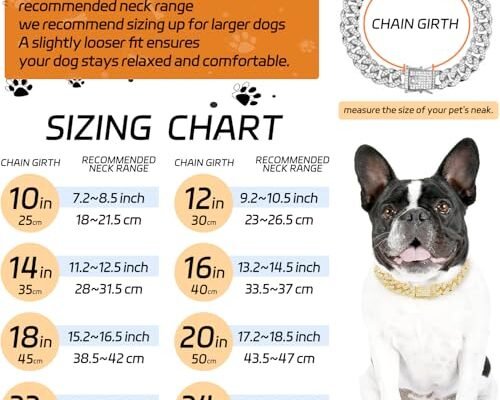 Best Cuban Link Dog Collar