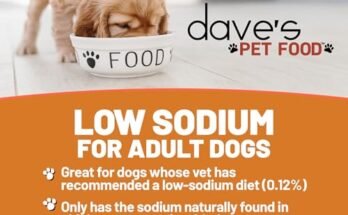 Best Low Sodium Dog Food