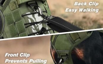Best No Pull Dog Harness For Pitbull