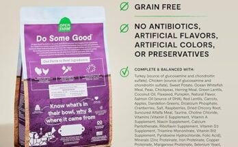 Best Senior Dog Food Without Chicken