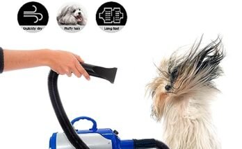 Best Dog Dryer For Golden Retrievers