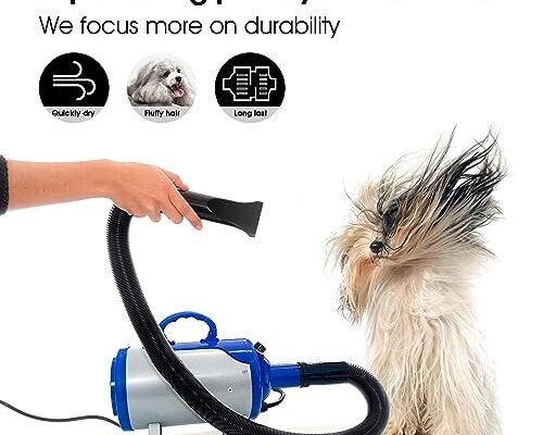 Best Dog Dryer For Golden Retrievers