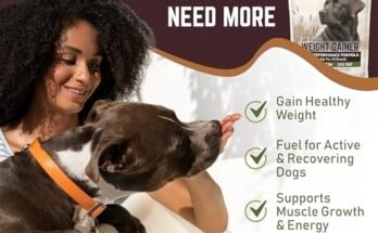 Dog Food For Great Dane To Gain Weight