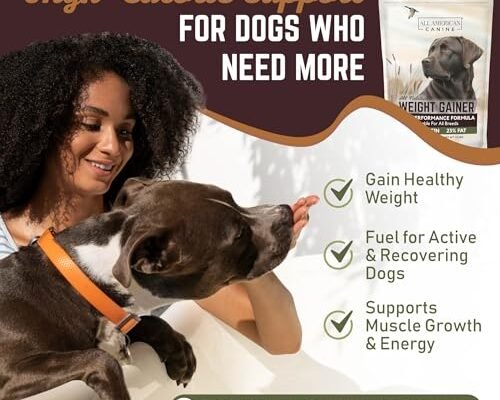 Dog Food For Great Dane To Gain Weight