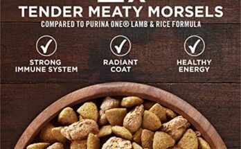 Best Turkey Dog Food