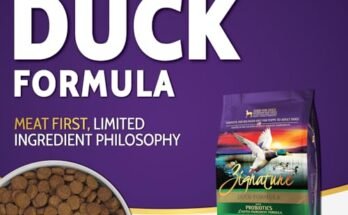 Best Duck Dog Food
