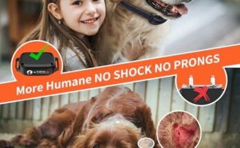 Best Vibrating Dog Collar No Shock