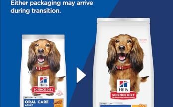 Best Dog Food For Dogs With Bad Teeth