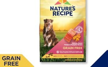 Best Grain Free Salmon Dog Food