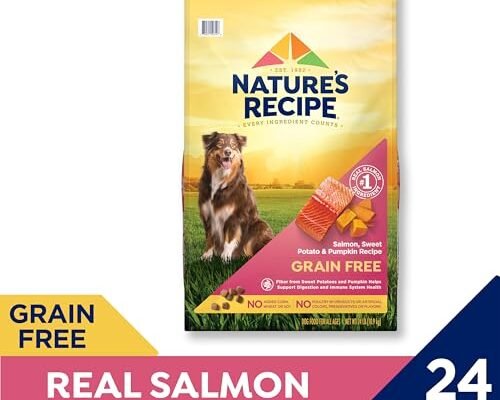Best Grain Free Salmon Dog Food