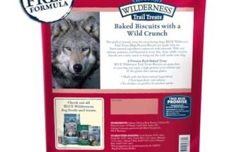 Best Salmon Dog Treats