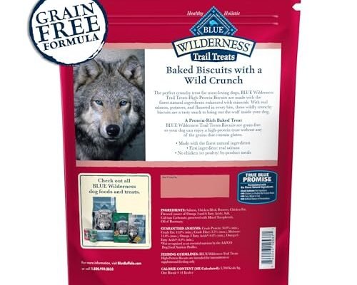 Best Salmon Dog Treats