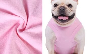 Best Dog Recovery Suit After Spay